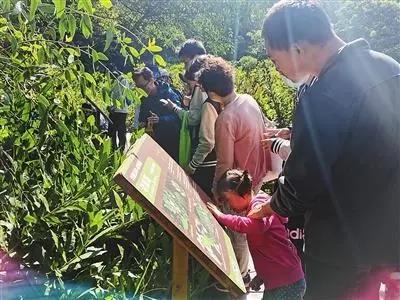 珠海淇澳紅樹林“鳥類大觀園”向公眾開放